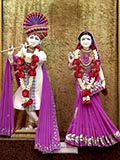 Bhagwan Shri Krishna and Shri Radhaji